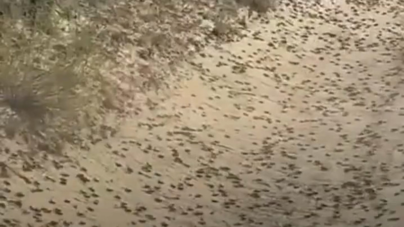 Кадры из видео