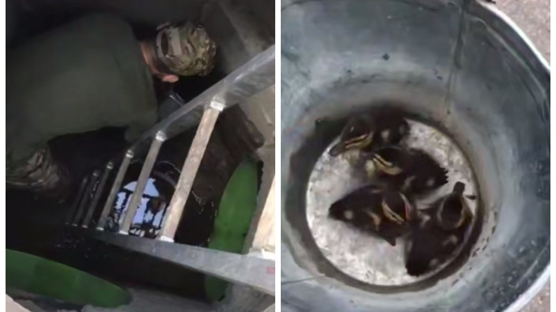 Кадры из видео: МЧС