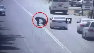 Рекламный ход сотрудников СТО привел в недоумение полицию в Таразе