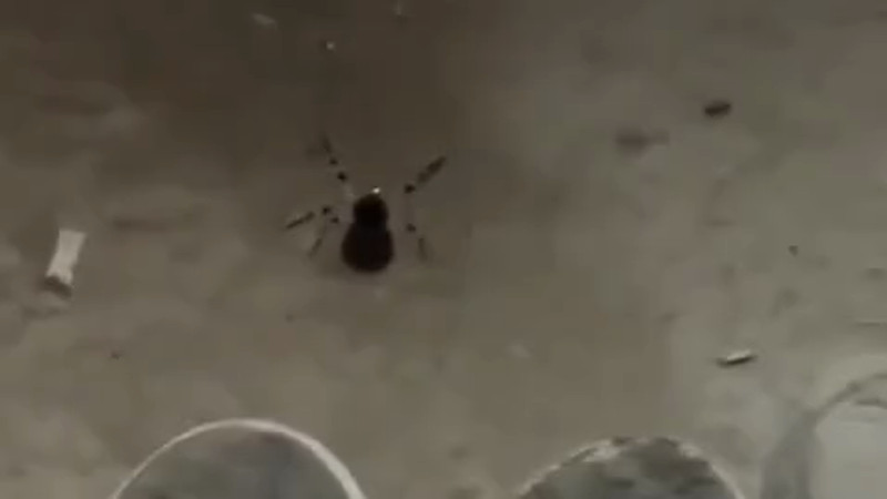 Кадры из видео