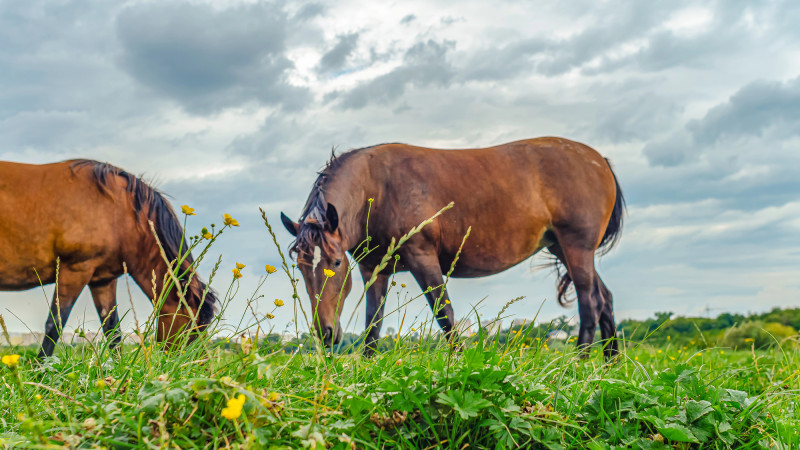 Фото:depositphotos.com