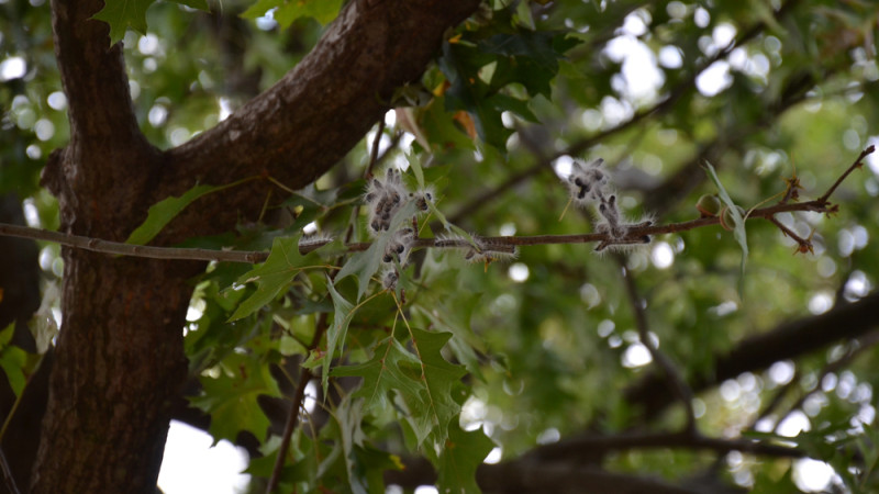 Фото:depositphotos.com