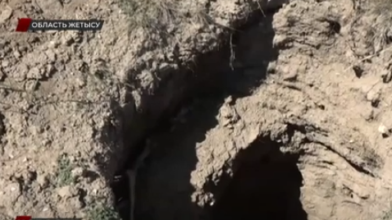 Кадр из видео/"Седьмой канал"