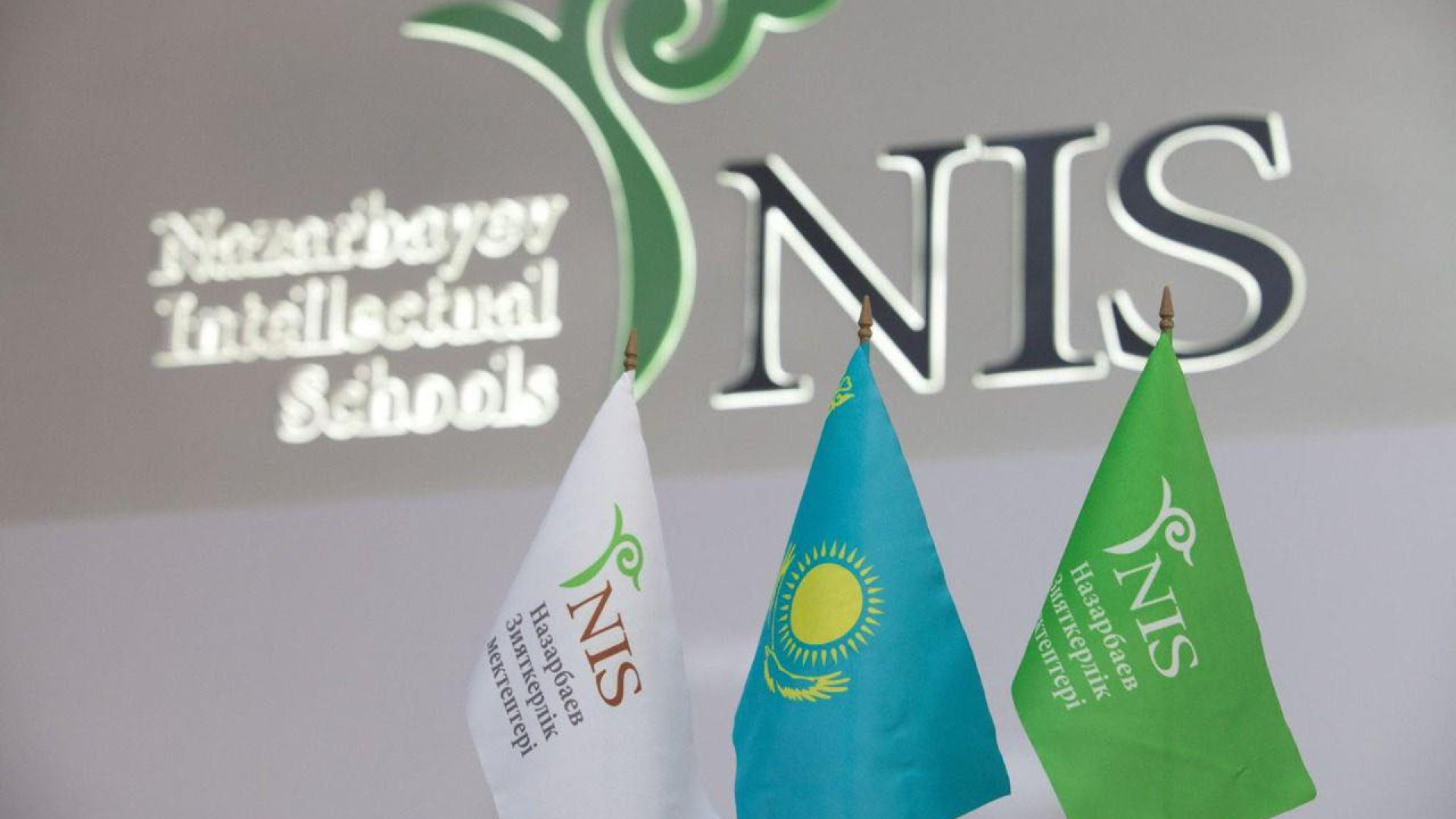 “Правильное решение“ - глава Миннауки об отчислении учащегося из НИШ