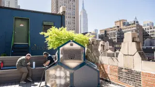 Добывать бензин из воздуха научились в США