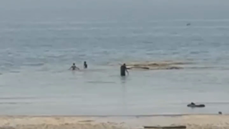 Кадры из видео