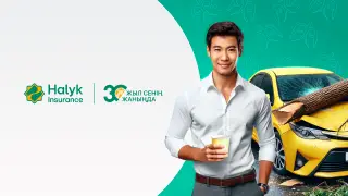 Надежное КАСКО от СК “Халык“: гид по онлайн-оформлению