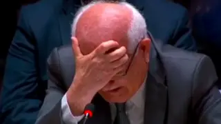 Посол Палестины заплакал на трибуне ООН, описывая страдания детей в Газе