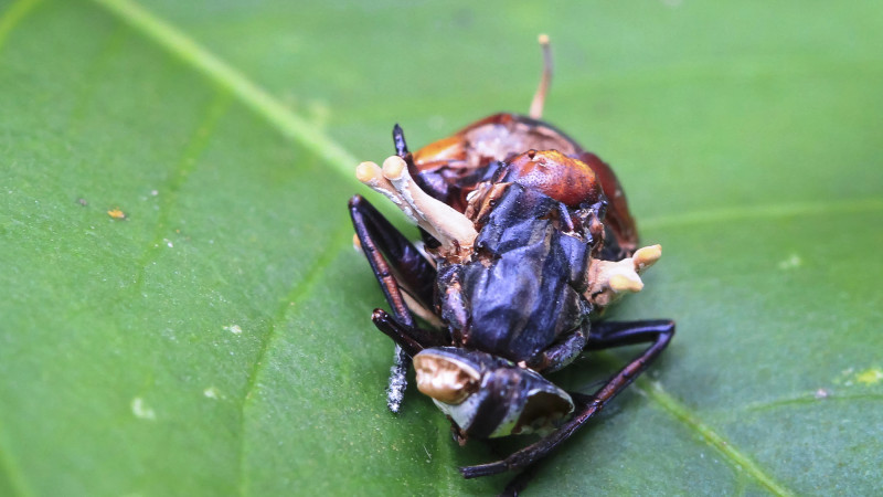 Фото: depositphotos.com/KevinWellsPhotography