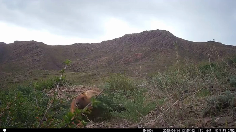 Кадры из видео