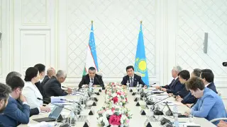Кошанов: наши лидеры вывели казахско-узбекские отношения на новый уровень