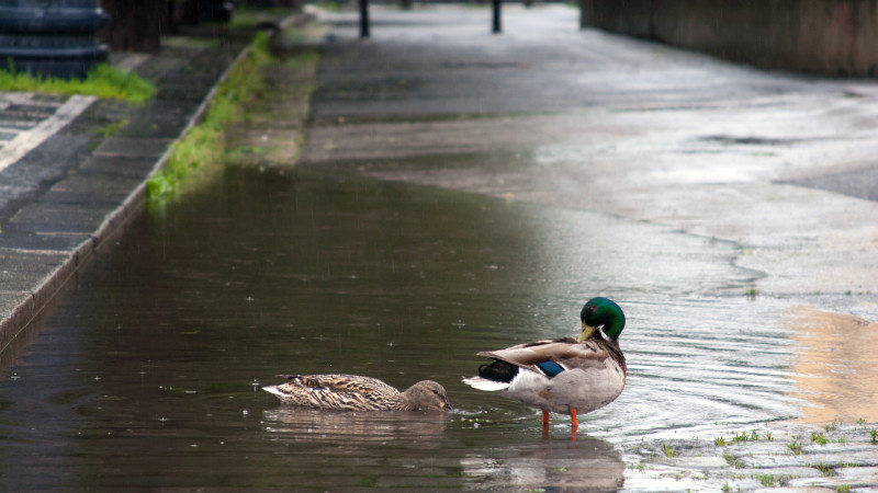 Фото:depositphotos.com