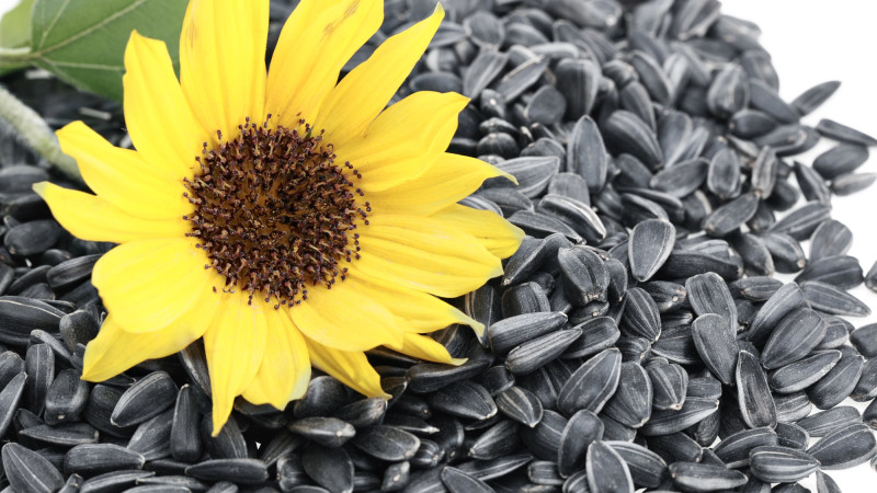 Фото:depositphotos.com