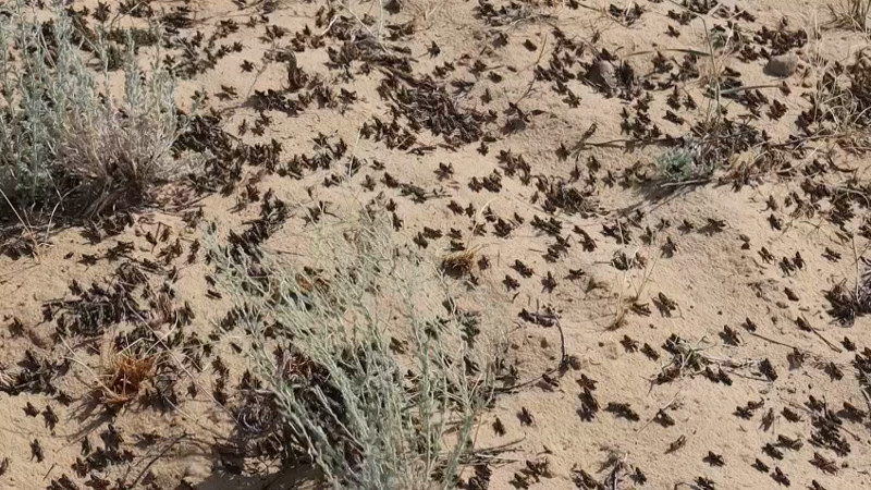 Кадры из видео