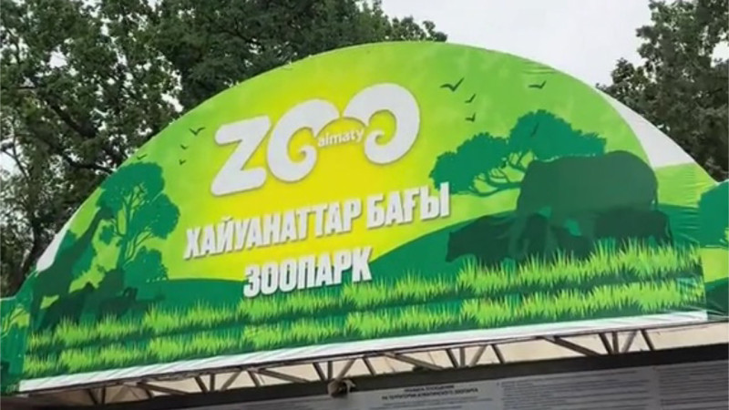 Кадр из видео