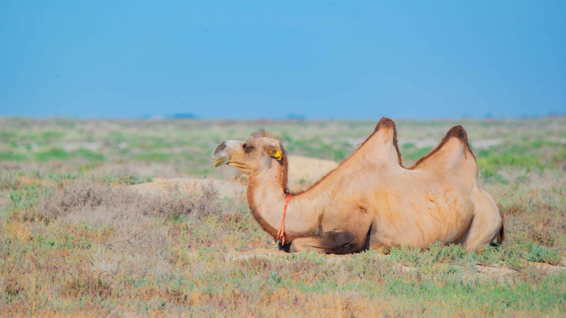 Фото:depositphotos.com