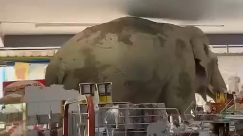 Кадры из видео