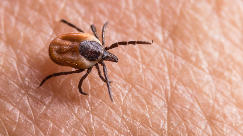 Фото: depositphotos.com/KPixMining