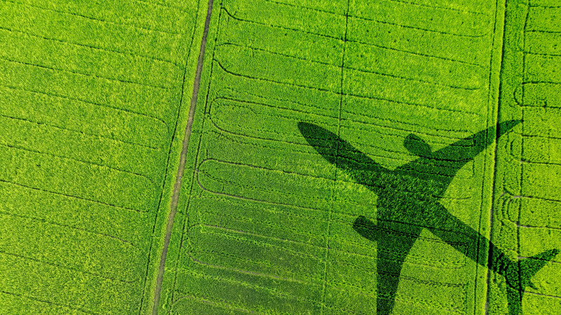 Фото: Shutterstock