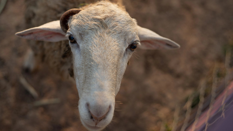 Фото:depositphotos.com