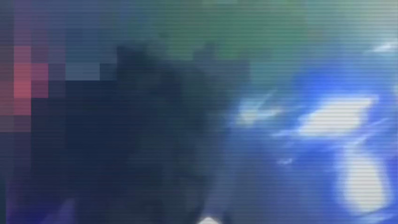 Кадры из видео