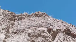 Археологи-энтузиасты нашли еще один древний город и петроглифы в области Жетысу