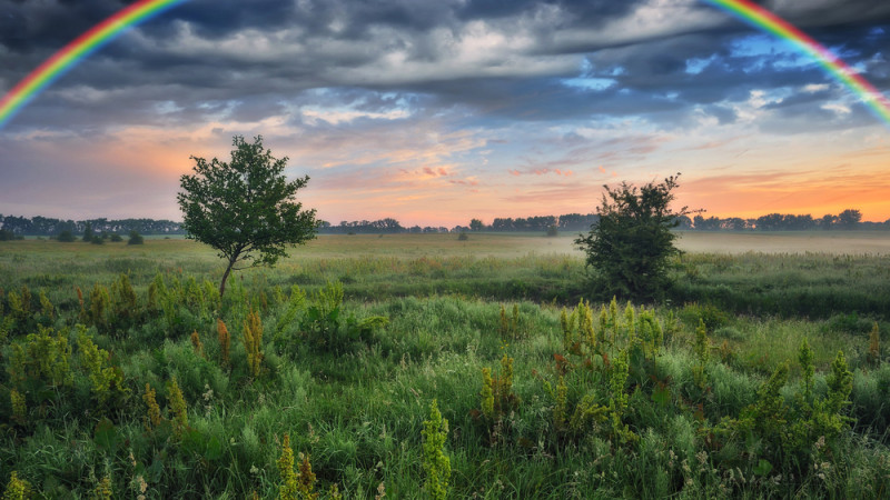 Фото:depositphotos.com