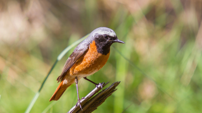 Фото:depositphotos.com