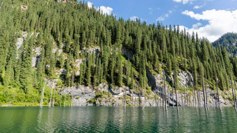 Фото ©️ Tengrinews.kz / Алихан Сариев