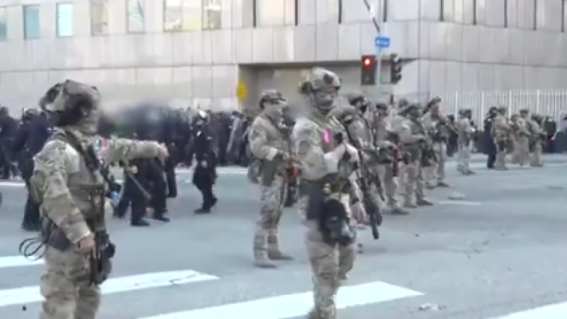 кадр из видео: x.com/LaurenTomasi