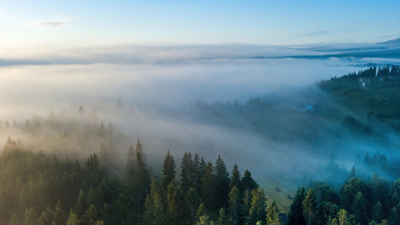 Фото:depositphotos.com