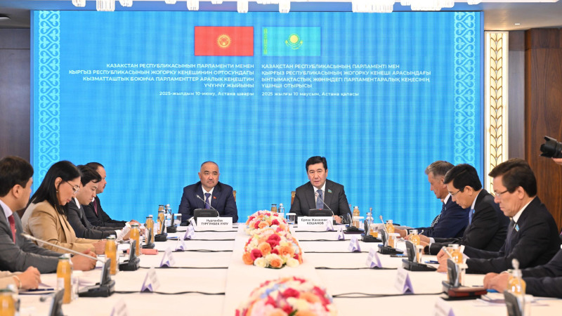 Фото: пресс-служба Мажилиса РК 