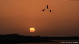 38-градусная жара идет в Казахстан