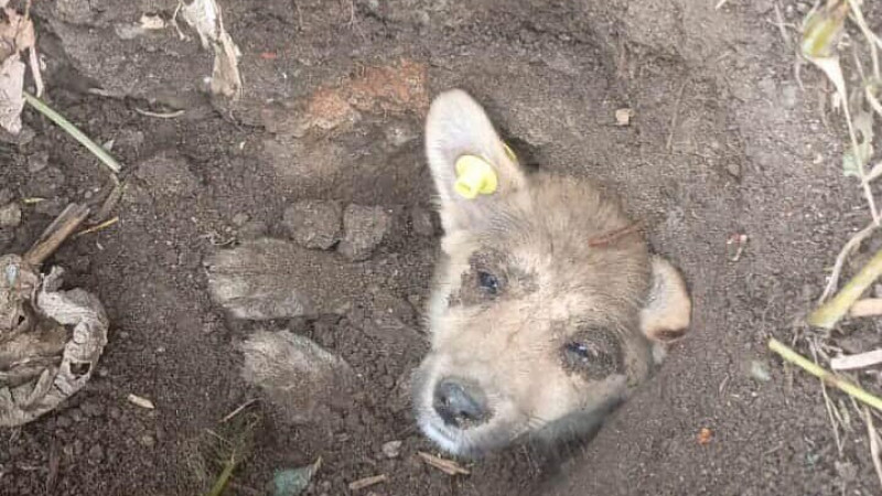 Фото: instagram.com/hope_kst