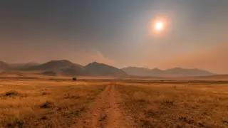 Жара до 46 градусов: Казахстан ждет погодный стресс