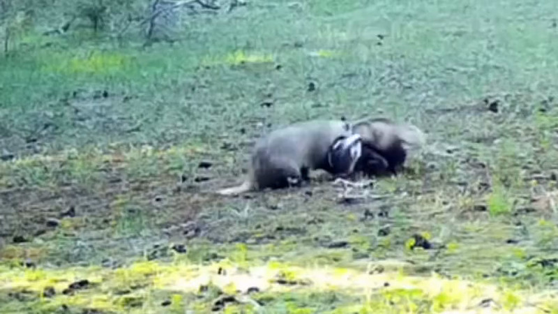 Кадры из видео