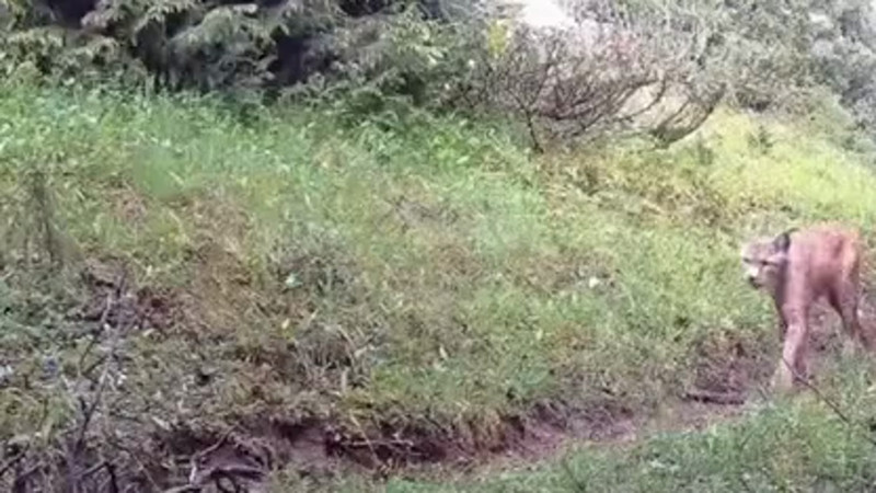 Кадры из видео