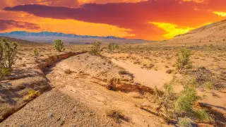 Зной и пыльные бури: в Казахстане ожидается экстремальная погода 18 июня