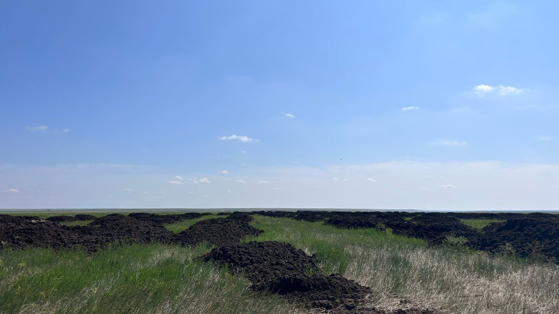 Фото ©️ Tengrinews.kz