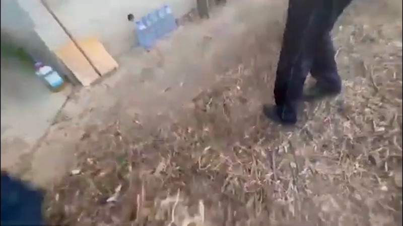 Кадры из видео