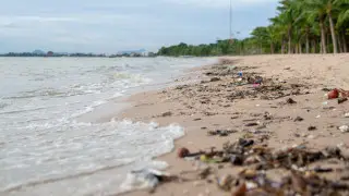 Где опасно купаться в 2025 году, сообщили экологи