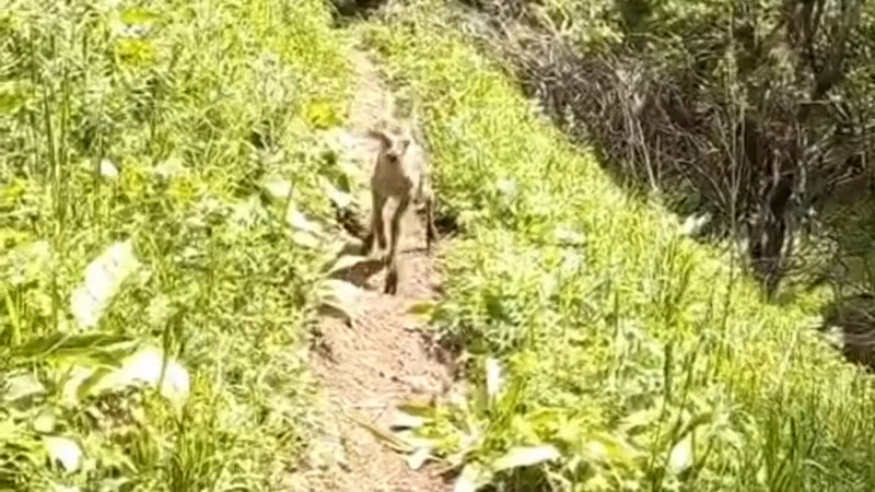 Кадры из видео