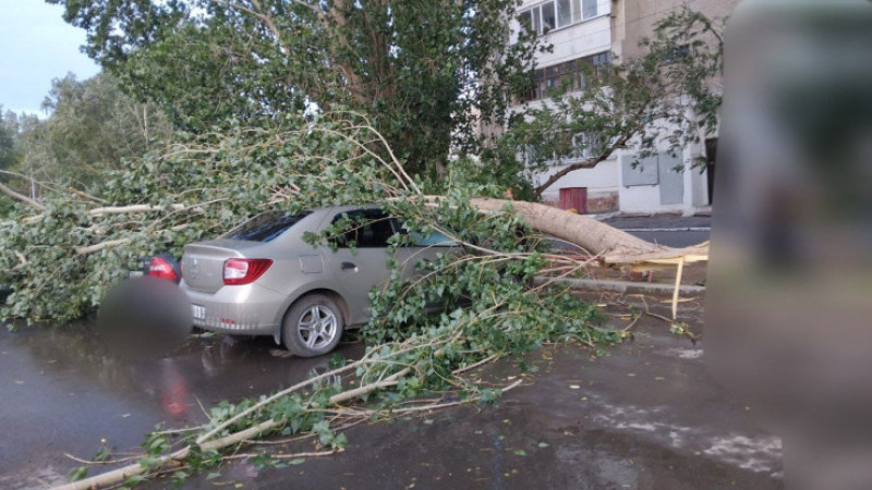 Фото из соцсетей