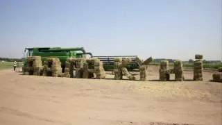 Что ждет аграриев Алматинской области