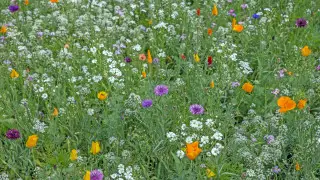 40-градусная жара и ливни: циклон врывается в Казахстан