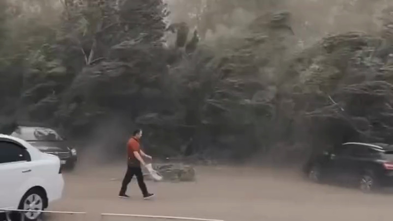 Кадры из видео