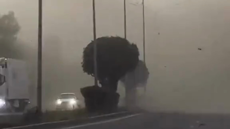 Кадры из видео