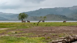 Чего ждать от погоды? Прогноз для Астаны и Алматы на три дня