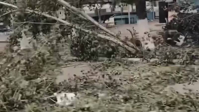 Кадры из видео