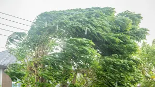 Шквал и жара: в Астане, Шымкенте и 17 регионах объявили штормовое предупреждение